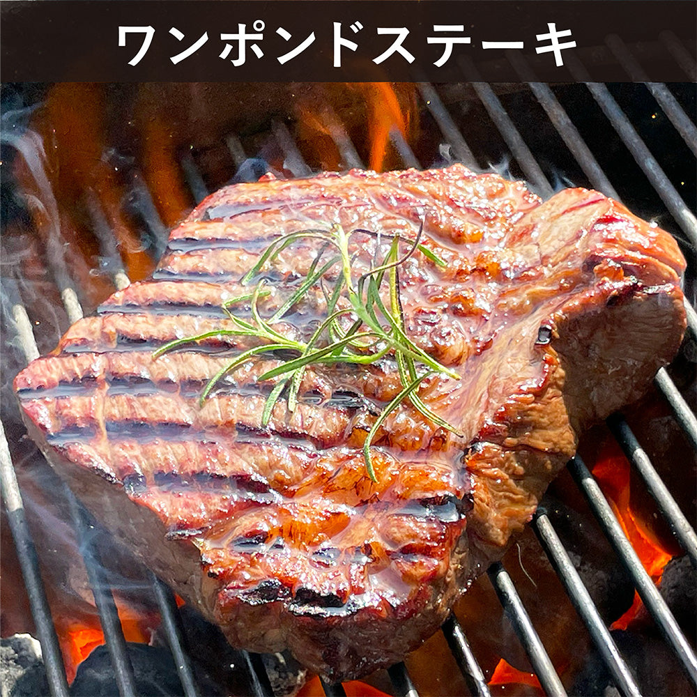 バーベキュー・調理用品 DAMNGOOD!! BIERDECKEL!? Amazon｜ガスバーベキューグリドルプランチャグリルバーナーLPG